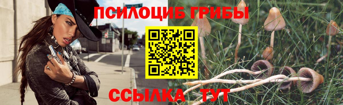 Псилоцибиновые грибы Psilocybine cubensis Белореченск