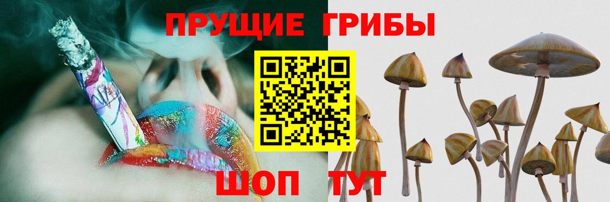 Псилоцибиновые грибы мицелий  Вход с VPN  Галлюциногенные грибы Psilocybe  Белореченск 